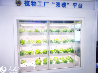 數(shù)字內容制作服務 創(chuàng)新驅動與價值實現(xiàn)